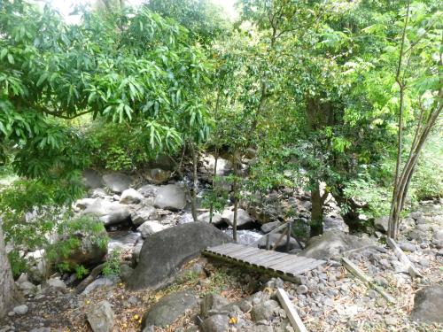 Surrounding environment, Sous les manguiers in Pointe-Noire