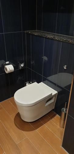 Brooklands Hotel & Spa - image 12