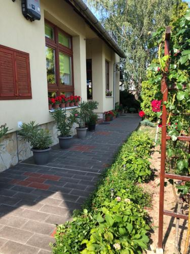 Katalin vendeghaz in Sarospatak