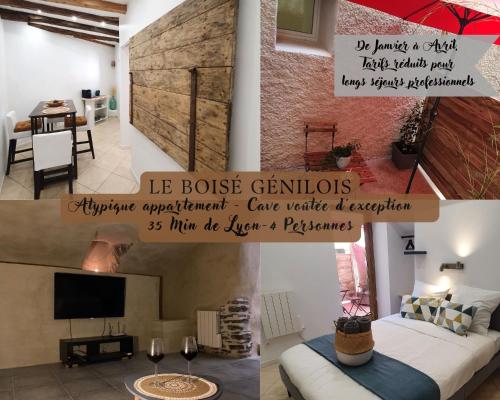 LE BOISÉ GÉNILOIS- Campagne-Chic-Climatisé - Apartment - Genilac