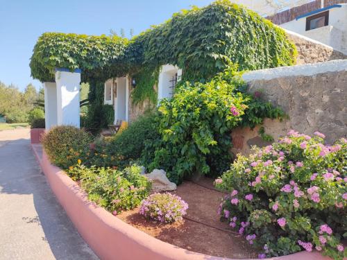 Agroturismo Can Marquet - Adults Only