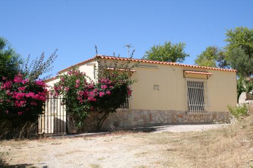 Villa Ambra - Noto (Siracusa) between Olive Trees