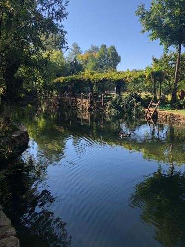 Dalya Life - image 11