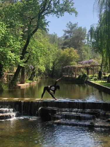 Dalya Life - main image