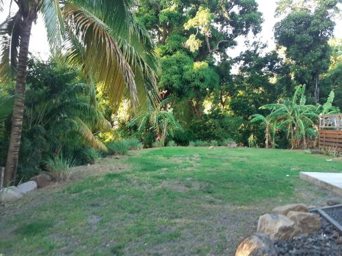 Garden, Sous les manguiers in Pointe-Noire