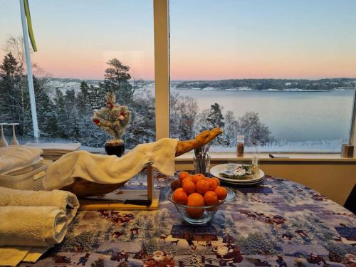 Archipelago villa, cabin & sauna jacuzzi with sea view, 30 minutes from Stockholm in Tyresö