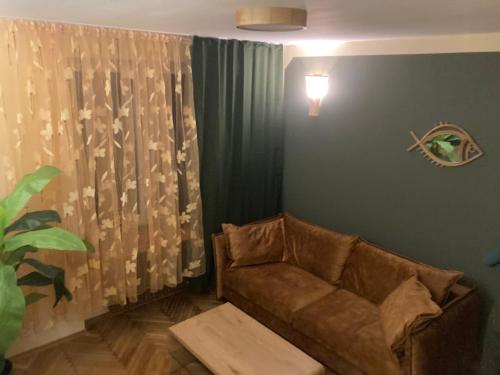 Apartament Drochaczyński