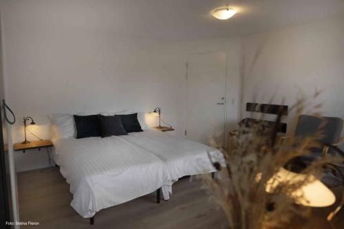 2 twin beds, 2 sofa beds