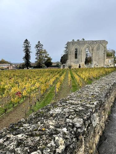 Les 2 glycines Au coeur des vignobles et de parcours de golfs