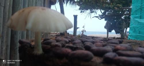 Cabaña Playa Anchive