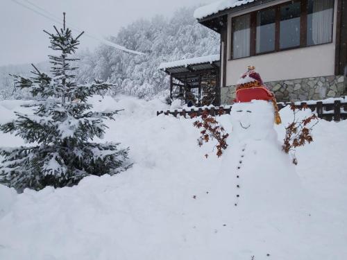 Holiday Home Drijenak - image 3