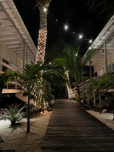 Dārzs, DreamCabanas in Caye Caulker