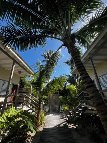 Dārzs, DreamCabanas in Caye Caulker
