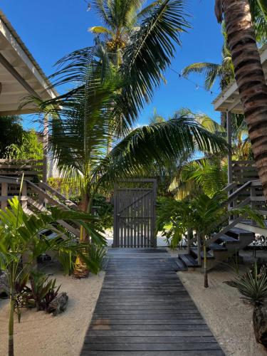Skats, DreamCabanas in Caye Caulker