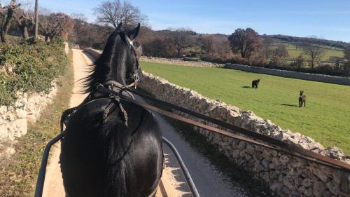 B&B Fuori Rotta by Masseria Serri