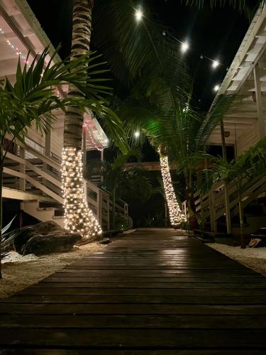 Dārzs, DreamCabanas in Caye Caulker