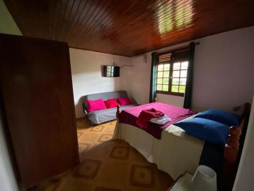 The Kapokier in Saint-Pierre