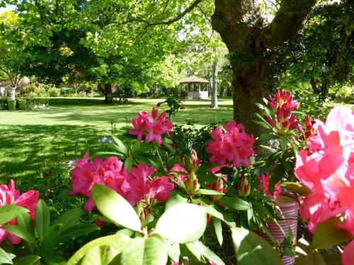 Tui Ridge Eco Cabins - Aongatete