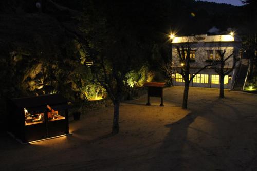 Camping Lamego Douro Valley