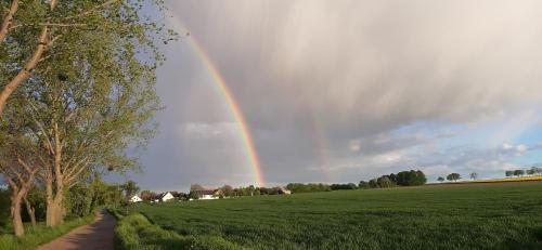 Ferienwohnung Sobrigau