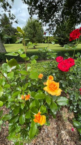 Fantail Garden