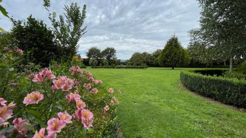 Fantail Garden