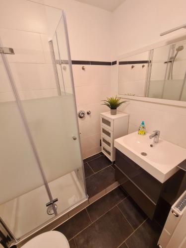 Ducha, Apartment Salinenpromenade Bad Kissingen in Bad Kissingen