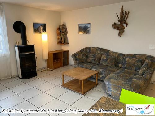 Schwizi's Apartments - image 14