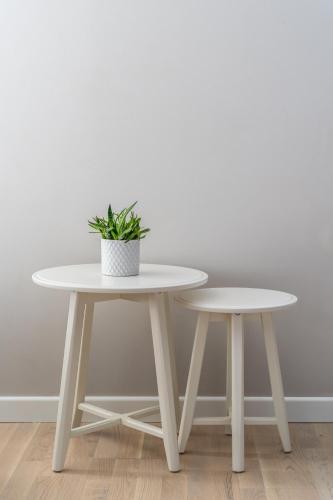 Cozy and Beautiful Studio in a Perfect Location! - Tap to explore photos