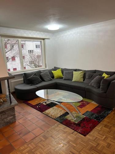 Castle View Big Appartment Vaduz Center in วาดุซ