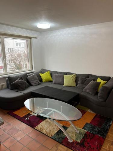 Castle View Big Appartment Vaduz Center in วาดุซ