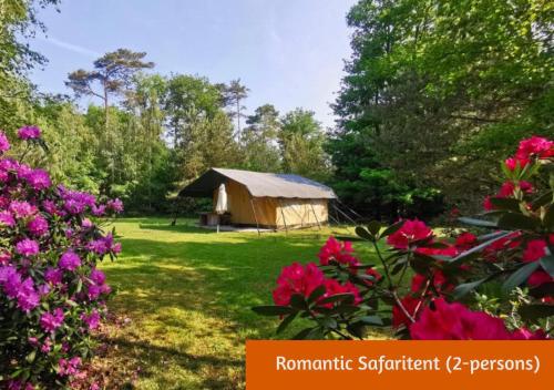 Glamping in Nature by Outdoors, Holten (zdjęcie 10)