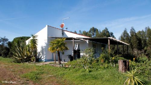 Monte Horizonte - Eco & Nature - Private Villas & Holiday Homes - image 11