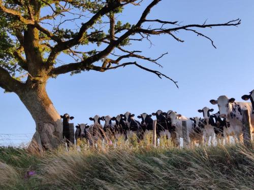 La Ferme Oubliée