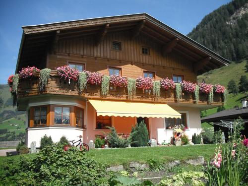  Haus Manuela sonnige Aussicht mit Bergpanorama inkl NATIONALPARK CARD, Pension in Rauris