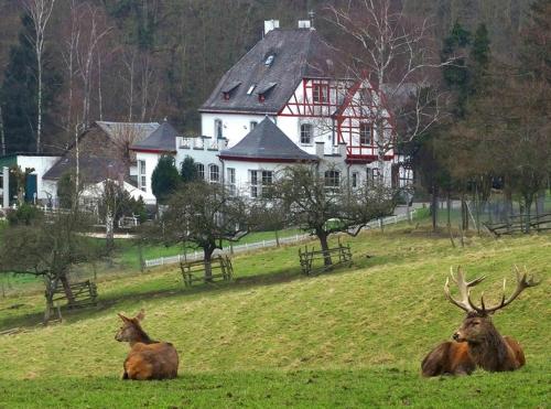 Ferienwohnung in Lahnstein am Rhein, Lahnstein (Foto 2)