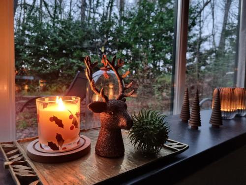 Pemandangan, Natuurhuis Boscoso met openhaard en elektr.fietsen in Lochem