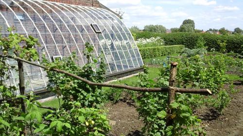 B&B De Hulst - image 3