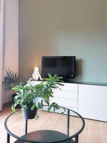  Arona 03 centralissimo ampio bilocale con garage in Arona