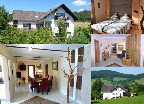 Ferienwohnungen Finke in Frankenau, Deutschland