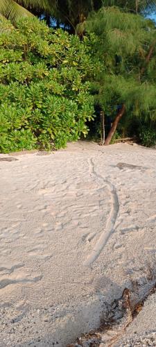 plage, Saleo Pesona Satu in Raja Ampat
