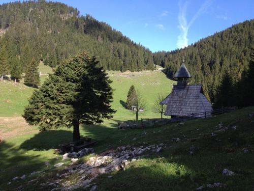 Tourist Farm Visočnik - main image