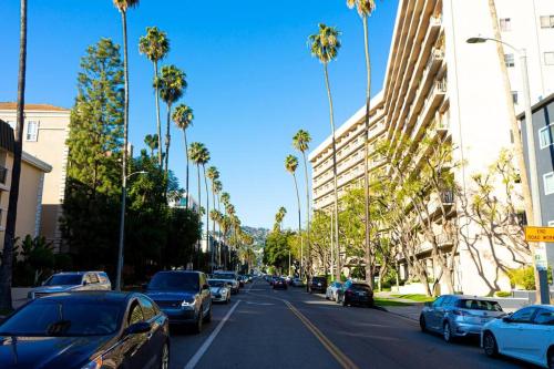 Luxury Beverly Hills Apartment