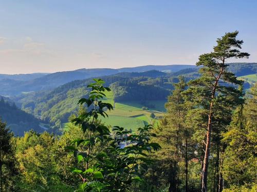 Odenwald-Lodge mit Infrarotsauna und E-Ladestation im Naturpark Odenwald "Haus Himmelblau"