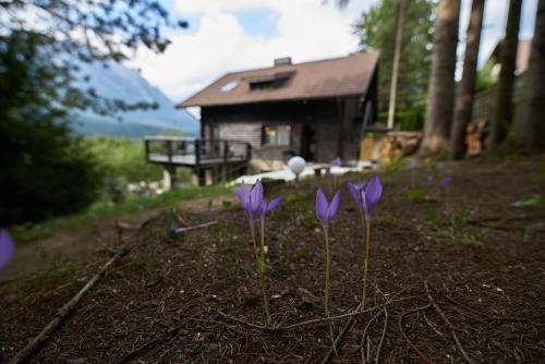 Chalet & Spa Maestrul si Margareta, Buşteni (photo 9)