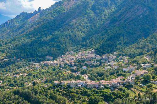 Studio Venaco Centre Corse - Location saisonnière - Venaco