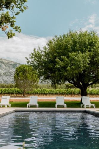 La Bastide Blanche au coeur des vignes Maison MIP