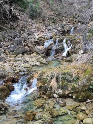 Cortijo de las cañadas