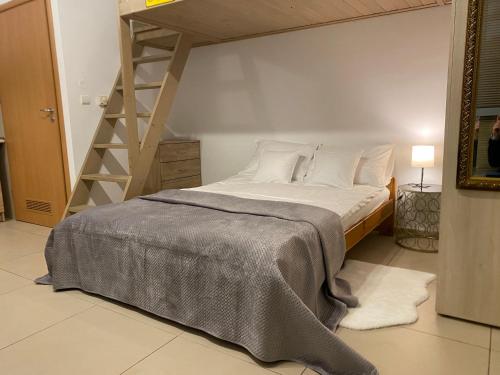 Klimatyczny apartament Romek 5 minut od Krupówek, Zakopane