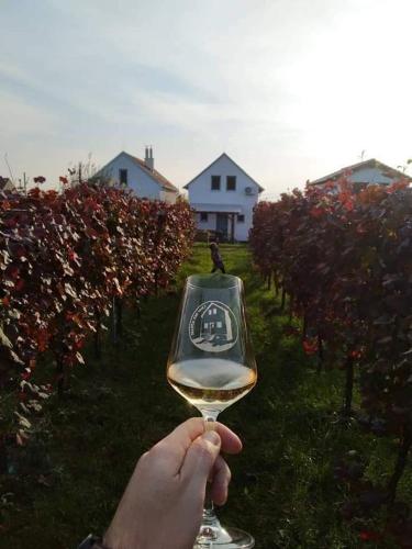 Vinný sklep Vinoza Velké Bílovice Pod Vinicí